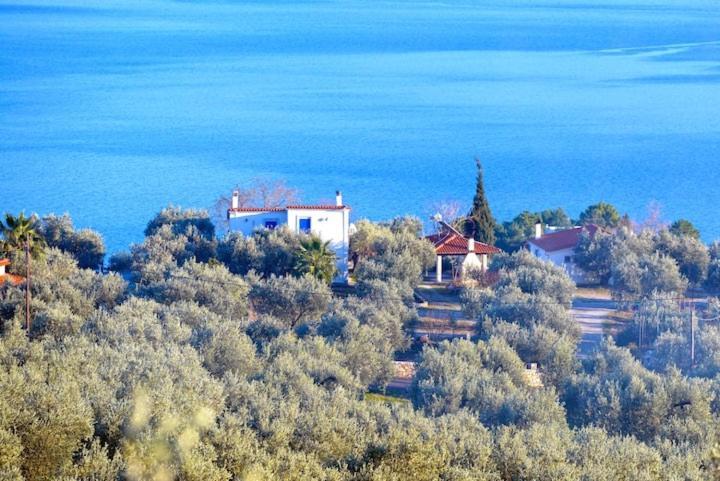 Four Independence Houses By The Sea Glífa Dış mekan fotoğraf