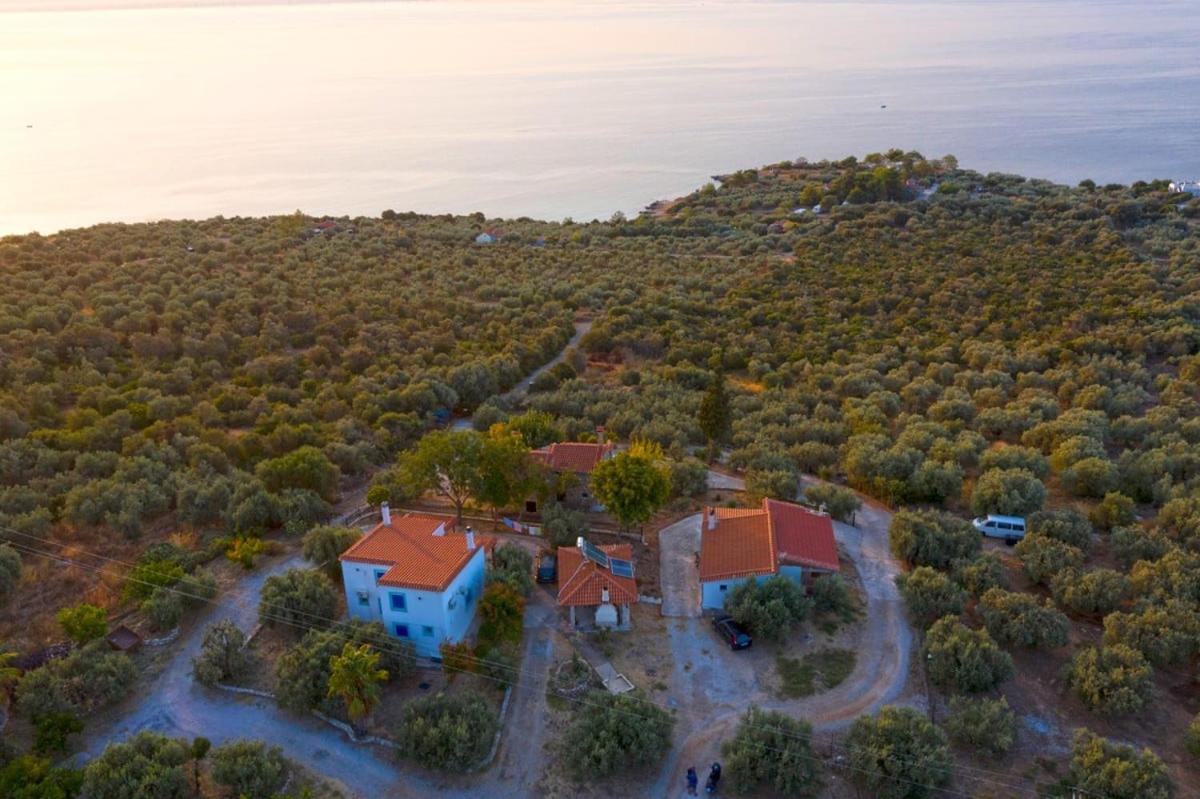 Four Independence Houses By The Sea Glífa Dış mekan fotoğraf
